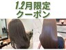 【1・2月限定】丁寧カウンセリング◎カット+カラー+3step TR¥10500