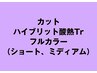 カット、ハイブリット酸熱、フルカラー（ショート、ミディアムスタイル）