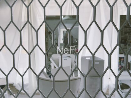 ネフ(NeF)の写真
