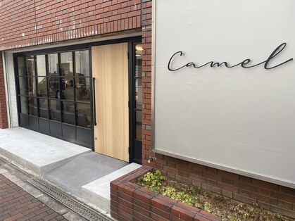 キャメル(Camel)の写真