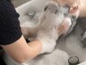 【30分】マイクロバブルヘッドスパ【単品予約用】