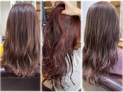 ルー(loup)の写真