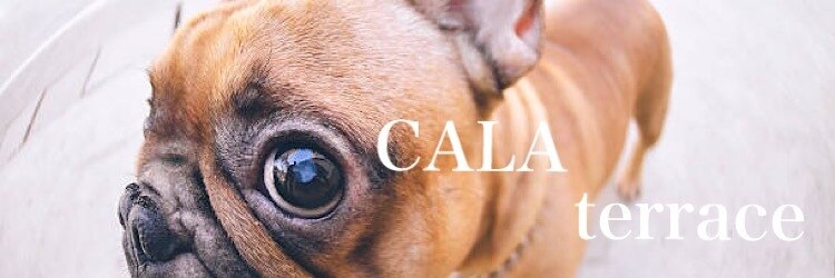 カルアテラス(CALA terrace)のサロンヘッダー