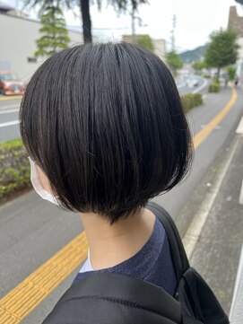 コタコット(cote a cote) shorthair