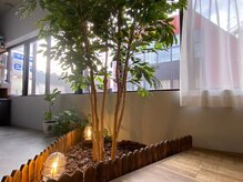 エイド 都立大学(AID_)