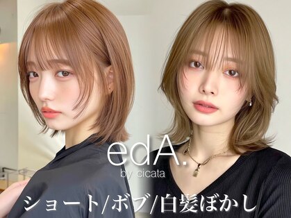 エダ 鎌倉(edA.)の写真