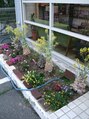 プログレス(PROGRESS)&nbsp;店の前にある花壇を季節ごとに植え替えてます♪