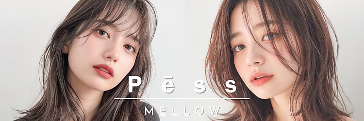 ペス メロウ(Pess mellow)のサロンヘッダー