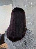 ピンクラベンダー