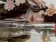 吉 船橋(kici)の写真