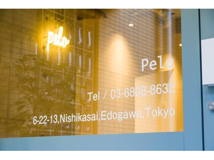 ペロ(Pelo)の写真