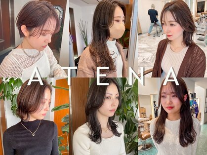 アテナ(ATENA)の写真