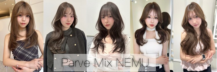 パーヴミックスネム(ParveMix NEMU)のサロンヘッダー