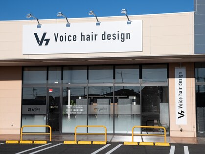 ヴォイスヘア(voice hair)の写真
