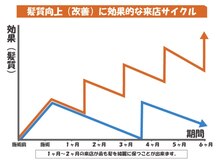 アフターカウンセリング　今後の美髪プランニング