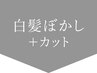 ↓↓ここから白髪ぼかしメニュー↓↓【押さないでください】