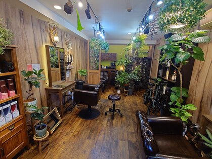 ヘアービスノ 住吉店(HAIR BISNO)の写真