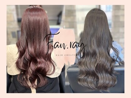 ファンドットレイ(Fan. ray)の写真