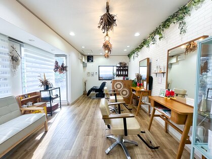 トイ(TOY)の写真