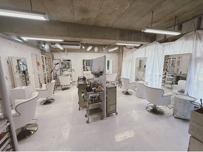 ネフ(NeF)の写真