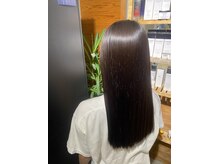 ルーツ ビギン(ROOTS BEGIN)
