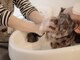 キューカンバー(CUCUMBER)の写真/頭皮の汚れを除去し血行促進◎頭皮環境を整えます。気分転換やリラックス、疲れた日の自分へのご褒美にも。