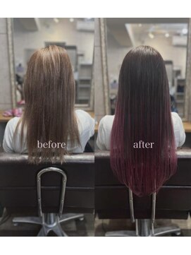 リエコー(RE'ECHO) お客様カタログ　プルエクステ