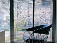 グラフ ヘアーズ ラボ graf hair's labの雰囲気(春にはお席から桜も見られ、窓際が特等席となります。)