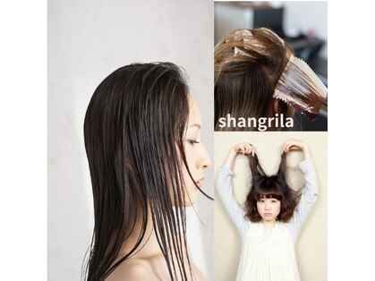 シャングリラ(Shangri la)の写真