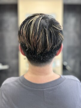 レッドカーペット(Red Carpet) 【Color】メッシュ