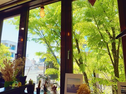 キイヒ(kiihi)の写真