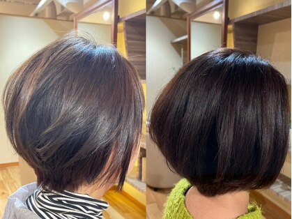 ナウン(noun)の写真