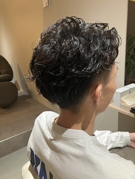 本と南風 guest design