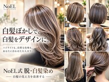 ノエル(NoEL)の雰囲気（白髪をデザインに♪自然で若々しい大人カラーへ）