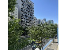 パルク(PALK)の雰囲気（お席から見える緑♪風通しがよく気持ちの良い空気が流れます＾＾）