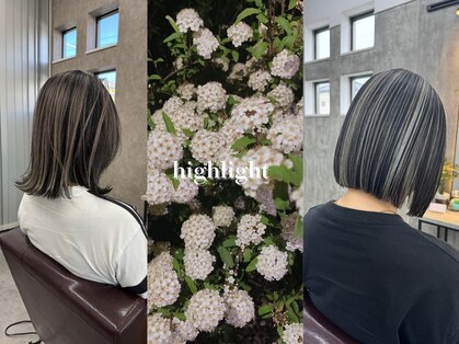 イッキ(IKKI)の写真