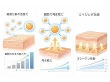 選べるヘッドスパ◇幹細胞コース《幹細胞の力で肌細胞の新陳代謝を活性化。エイジングケアにも◎》