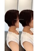 shorthair