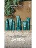 新規限定　カラー＋AVEDAトリートメント＋お土産付き♪→￥10500