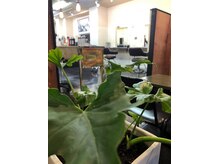 ヘアーフレッシュラブ(Hair Fresh Love)