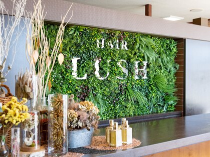 ヘア ラッシュ(HAIR LUSH)の写真