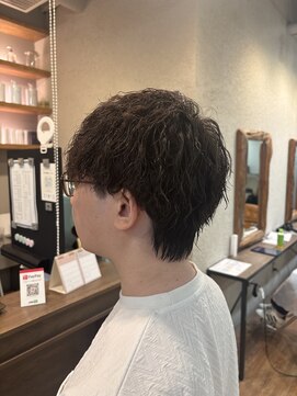 ハロ 蕨(HALO) メンズマッシュウルフツイスパ【阿部佑香】