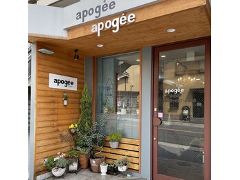 アポジェヘアー（apogee　Hair)