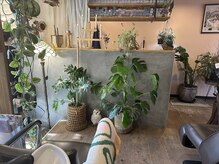アノネ(anone)の雰囲気（植物も中に沢山います♪）