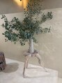 ナルーヘア(nalu hair) 育ててる植物を切ってお店に飾ったりします!今月はどんなの?