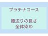 プラチナコース ●腰辺りの長さ 全体染め