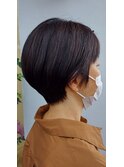 shorthair