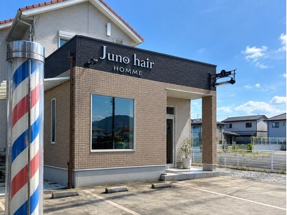 Juno hairの写真