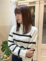 シダ(sida)&nbsp;2024 AW トレンドカラー