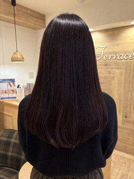 【Terrace】ローレイヤー×レッドバイオレット